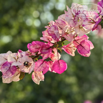 фото из отзыва ID 2691519