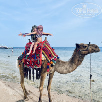 фото из отзыва ID 2692105