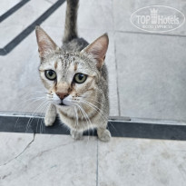 фото из отзыва ID 2692377