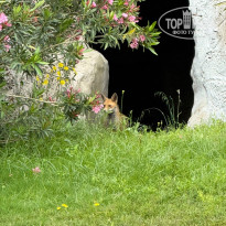 фото из отзыва ID 2693278