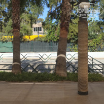 фото из отзыва ID 2693310