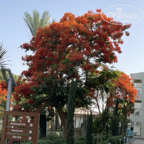 фото из отзыва ID 2693340