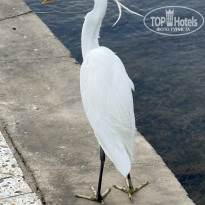 фото из отзыва ID 2693511