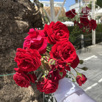 фото из отзыва ID 2692796