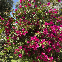 фото из отзыва ID 2692796