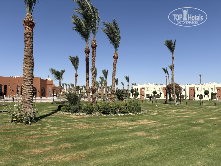 Новые добавленные фото туристов SUNRISE Royal Makadi Resort-Select- 5*