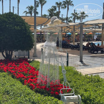 фото из отзыва ID 2694057