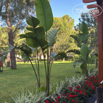 фото из отзыва ID 2694057