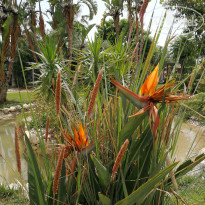 фото из отзыва ID 2694077