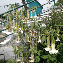 фото из отзыва ID 2694077