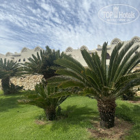 фото из отзыва ID 2694081