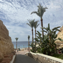 фото из отзыва ID 2694081