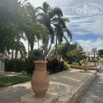 фото из отзыва ID 2694081