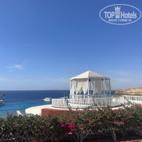 фото из отзыва ID 2694081