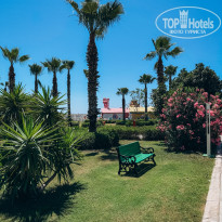 фото из отзыва ID 2694142