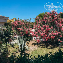 фото из отзыва ID 2694142