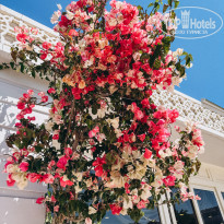 фото из отзыва ID 2694142