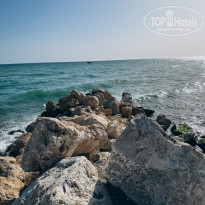 фото из отзыва ID 2694142