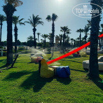 фото из отзыва ID 2694142