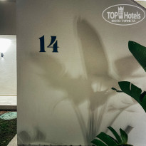 фото из отзыва ID 2694142