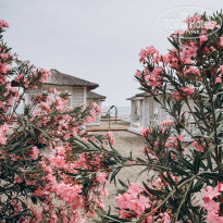 фото из отзыва ID 2694142