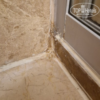 фото из отзыва ID 2694184