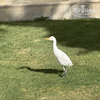 фото из отзыва ID 2694616