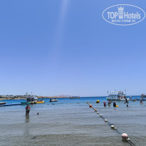 фото из отзыва ID 2694701