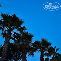 фото из отзыва ID 2695179