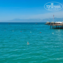 фото из отзыва ID 2695179