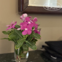 фото из отзыва ID 2695280