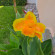 фото из отзыва ID 2695361
