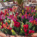 фото из отзыва ID 2695361
