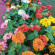 фото из отзыва ID 2695552