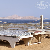 фото из отзыва ID 2696064