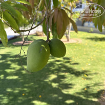 фото из отзыва ID 2696256
