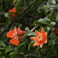 фото из отзыва ID 2696483