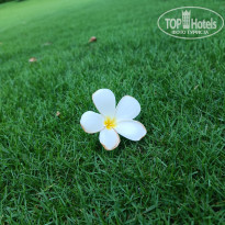 фото из отзыва ID 2696728