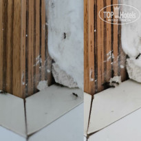 фото из отзыва ID 2697026