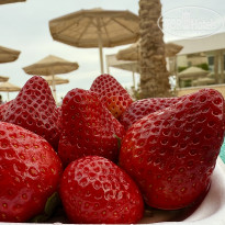 фото из отзыва ID 2697282