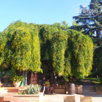 фото из отзыва ID 2697289
