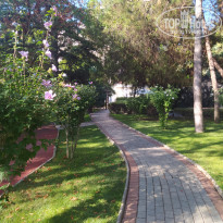 фото из отзыва ID 2697289