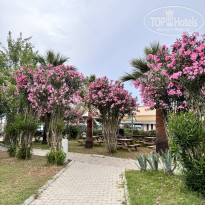 фото из отзыва ID 2697489