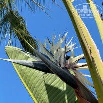 фото из отзыва ID 2697737