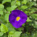 фото из отзыва ID 2696369