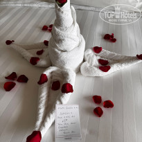 фото из отзыва ID 2698292
