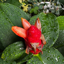 фото из отзыва ID 2698292