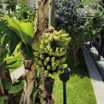фото из отзыва ID 2698389