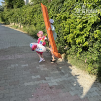 фото из отзыва ID 2698568