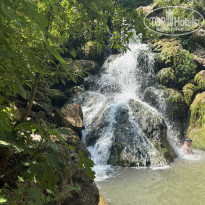 фото из отзыва ID 2698568
